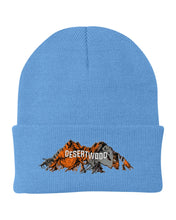 Load image into Gallery viewer, Knit Cap "Desertwood Sign"
