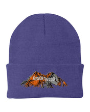 Load image into Gallery viewer, Knit Cap "Desertwood Sign"